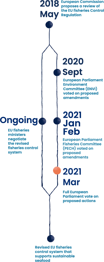 Progress towards a sustainable EU seafood system - Timeline