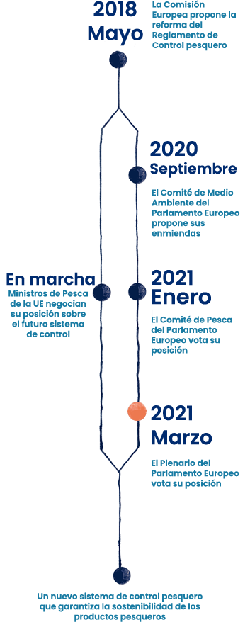 Progress towards a sustainable EU seafood system - Timeline