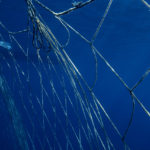 The EU Fisheries Control Coalition calls for ambitious reform of the EU Fisheries Control Regulation